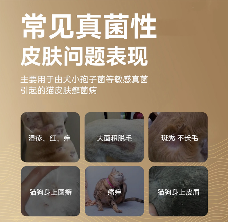 优思韦-宁伊曲康唑内服溶液