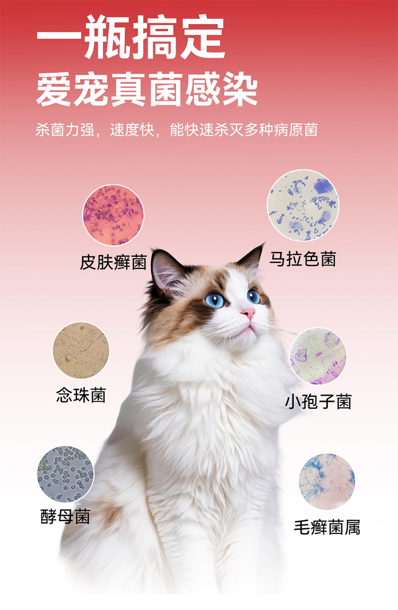 优思韦-宁伊曲康唑内服溶液